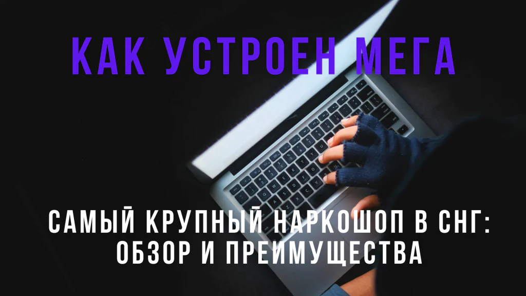 mega наркоплощадка устройство